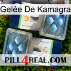 Gelée De Kamagra viagra5